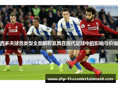 西多夫球员类型全面解析及其在现代足球中的影响与价值