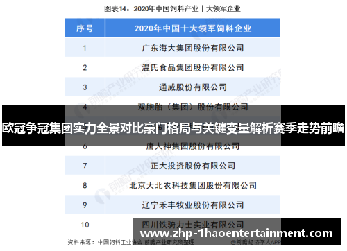 欧冠争冠集团实力全景对比豪门格局与关键变量解析赛季走势前瞻