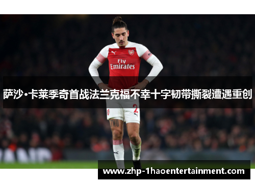 萨沙·卡莱季奇首战法兰克福不幸十字韧带撕裂遭遇重创
